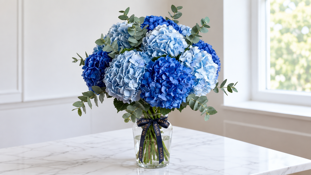 How to Choose Hypoallergenic Flowers (Without Sacrificing Beauty)