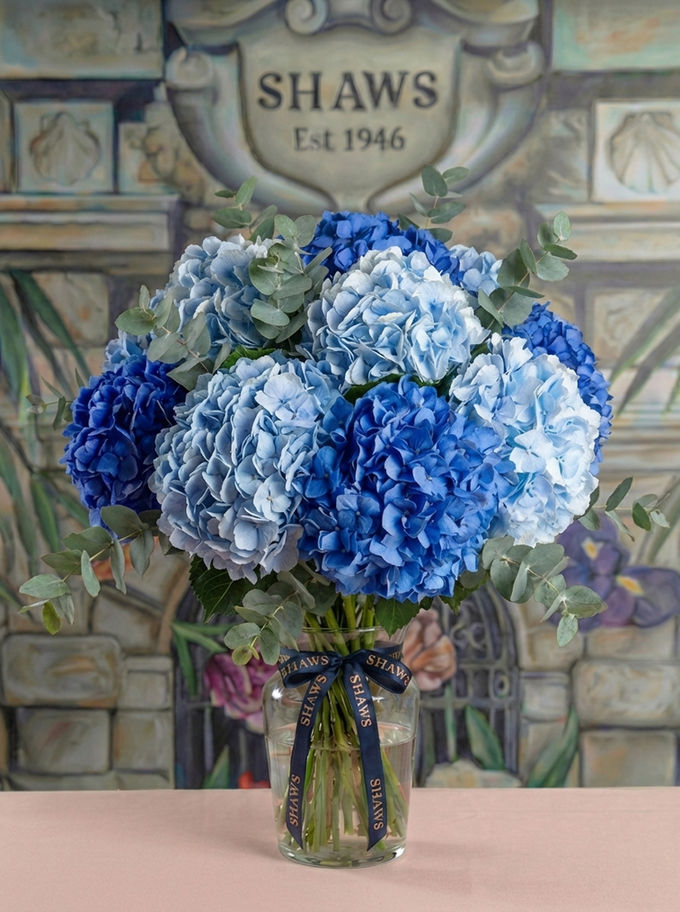 Hydrangea Blues, Pinks & Whites floral arrangement by Shaws of Covent Garden - view 2