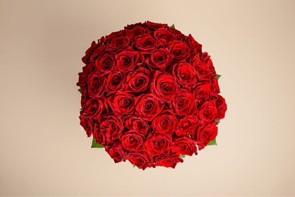 Classic Red Rose Dome floral arrangement by Shaws of Covent Garden - view 6