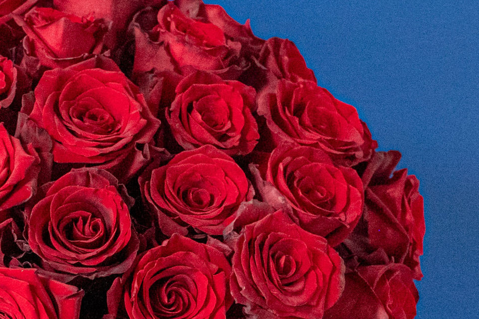 Classic Red Rose Dome floral arrangement by Shaws of Covent Garden - view 7