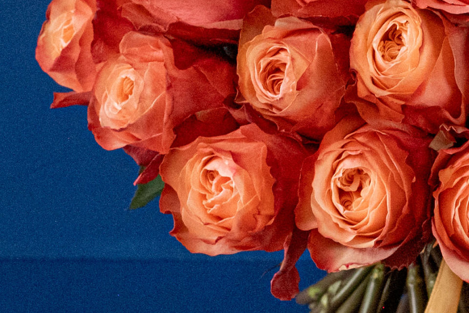 Classic White Rose Dome Rose floral arrangement by Shaws of Covent Garden - view 13