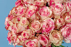 Classic White Rose Dome Rose floral arrangement by Shaws of Covent Garden - view 6