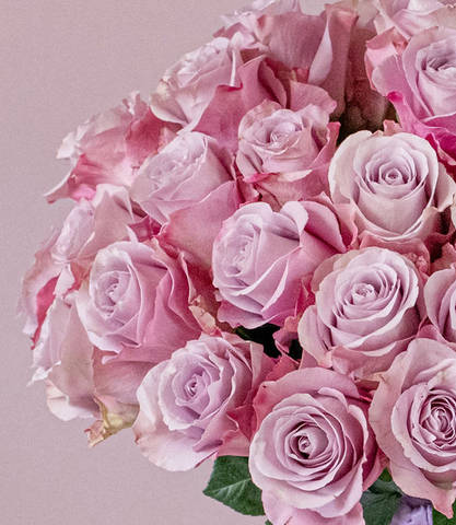 Classic White Rose Dome Rose floral arrangement by Shaws of Covent Garden - view 7