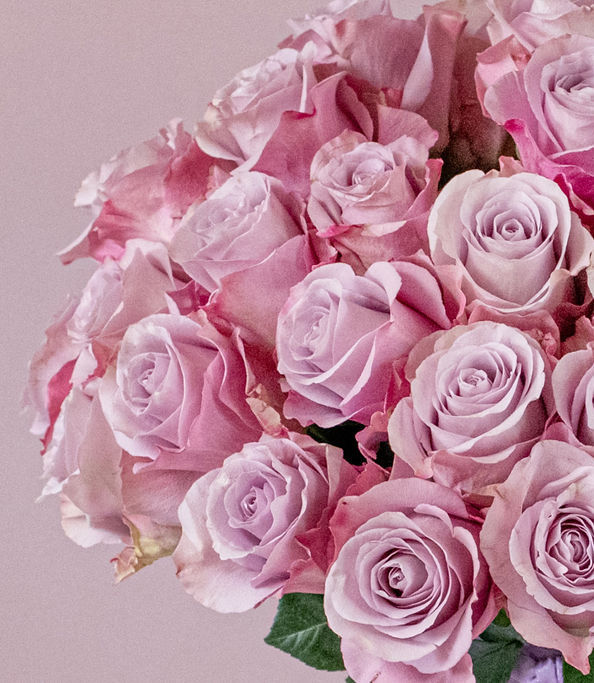 Classic White Rose Dome Rose floral arrangement by Shaws of Covent Garden - view 8