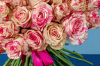 Classic White Rose Dome Rose floral arrangement by Shaws of Covent Garden - view 9