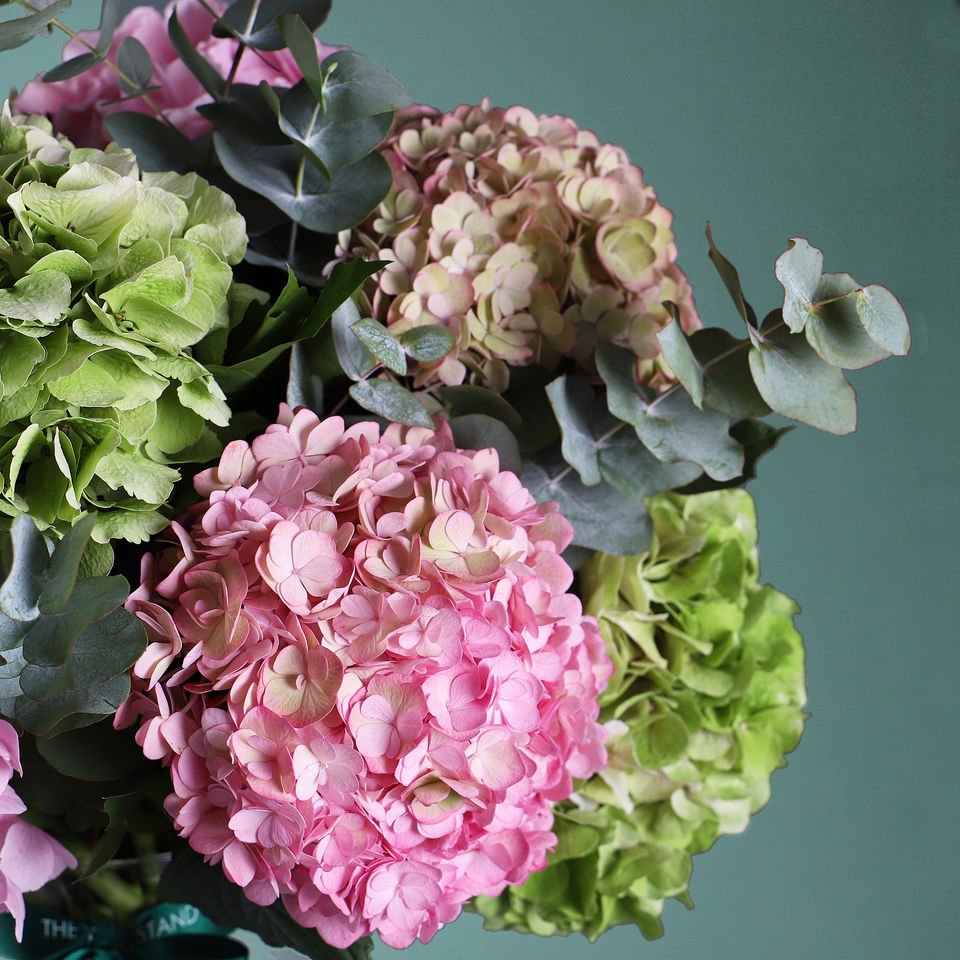 Hydrangea Heaven floral arrangement by Shaws of Covent Garden - view 2
