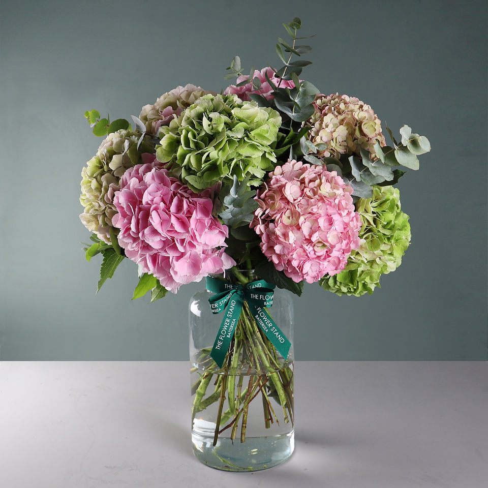 Hydrangea Heaven floral arrangement by Shaws of Covent Garden