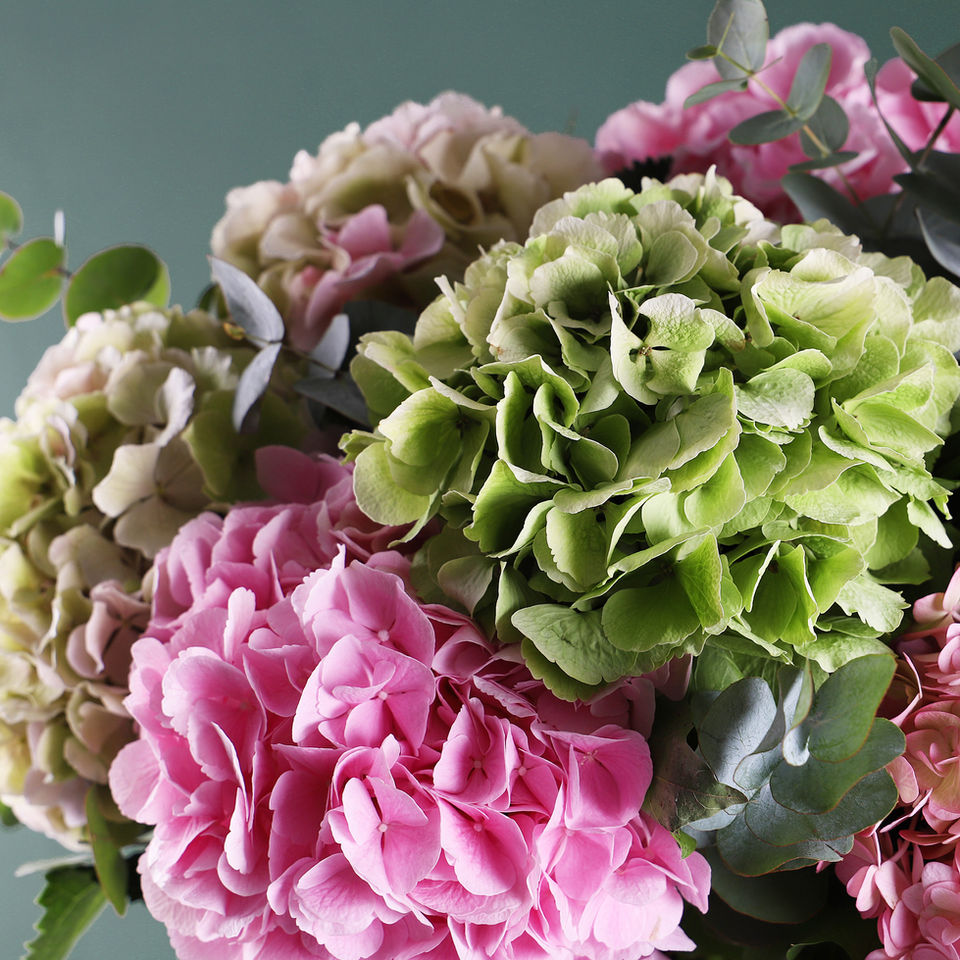 Hydrangea Heaven floral arrangement by Shaws of Covent Garden - view 3
