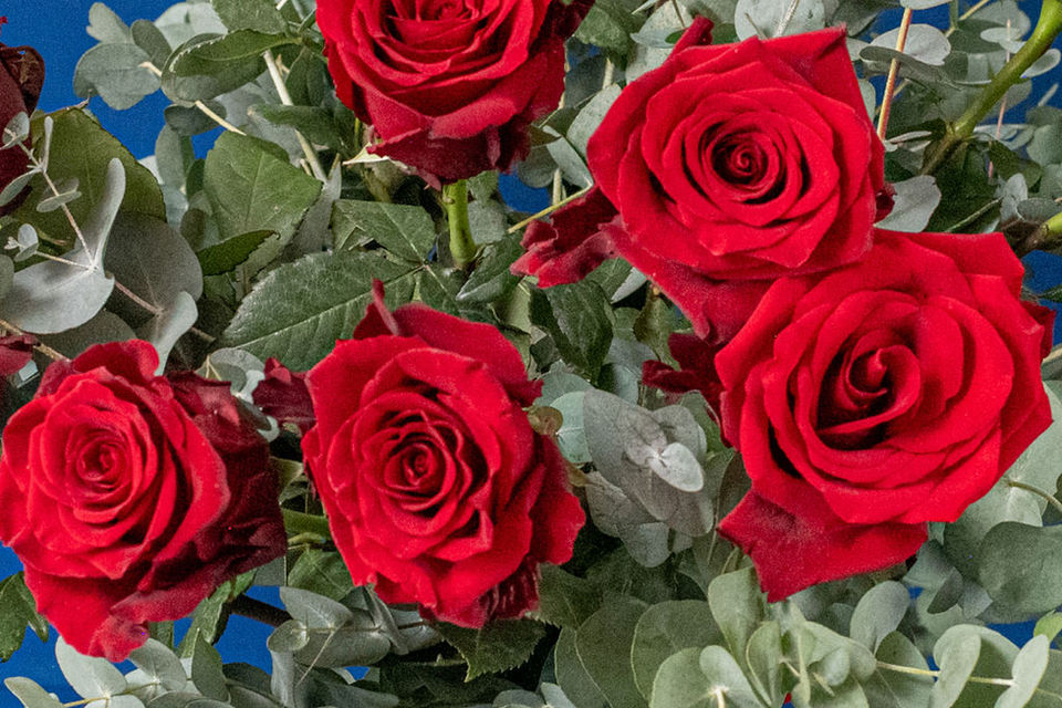 LOVE - Red Explorer Roses & Eucalyptus floral arrangement by Shaws of Covent Garden - view 4
