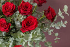 LOVE - Red Explorer Roses & Eucalyptus floral arrangement by Shaws of Covent Garden - view 5