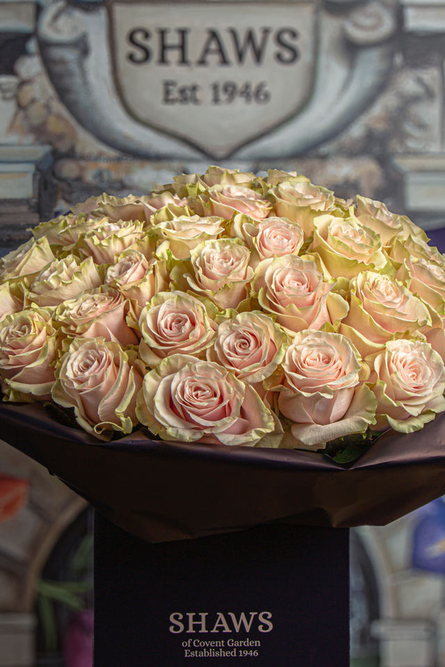 Pink Mondial Rose Dome floral arrangement by Shaws of Covent Garden - view 4
