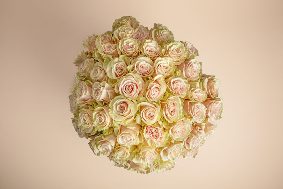 Pink Mondial Rose Dome floral arrangement by Shaws of Covent Garden - view 6