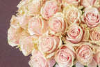 Pink Mondial Rose Dome floral arrangement by Shaws of Covent Garden - view 7